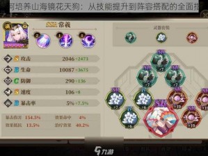 如何培养山海镜花天狗：从技能提升到阵容搭配的全面指南