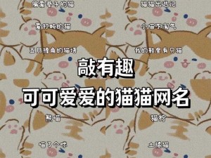 猫咪地域网名入口 哪里可以找到靠谱的猫咪地域网名入口呢？求推荐