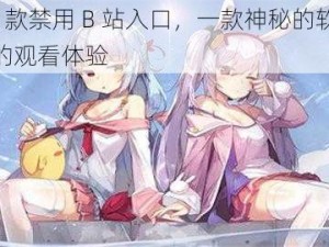 夜里 18 款禁用 B 站入口，一款神秘的软件，提供全新的观看体验