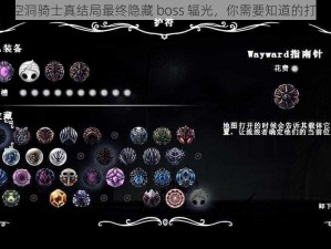 《挑战空洞骑士真结局最终隐藏 boss 辐光，你需要知道的打法技巧》