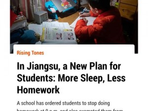 中国学生在 Homework 中遇到困难，如何应对？