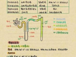 罚喝10瓶利尿水不准尿出来,如果一个人被罚喝 10 瓶利尿水不准尿出来，会对身体造成怎样的影响？