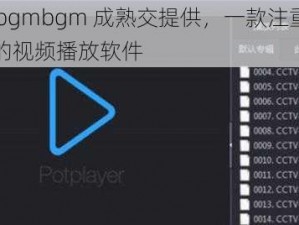 bgmbgmbgm 成熟交提供，一款注重用户体验的视频播放软件