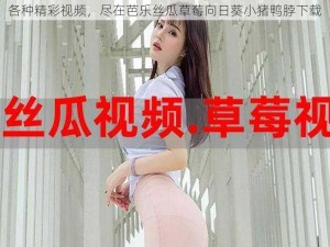 各种精彩视频，尽在芭乐丝瓜草莓向日葵小猪鸭脖下载