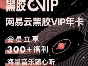 狠狠把我一夜之间变成了大人歌词——网易云音乐黑胶 VIP 年卡