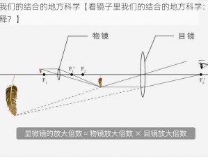 看镜子里我们的结合的地方科学【看镜子里我们的结合的地方科学：从光学角度如何解释？】