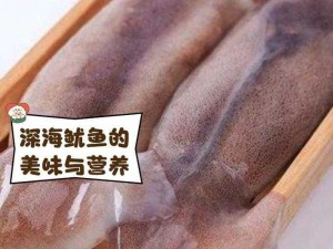 by1259鱿鱼—by1259 鱿鱼在深海中是如何生存和繁衍的呢？它有着怎样独特的习性和特点？