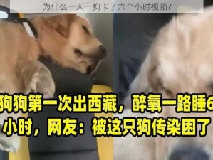 为什么一人一狗卡了六个小时视频？