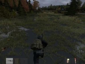 DayZ 独立版单人生存攻略：在僵尸横行的世界中如何求生