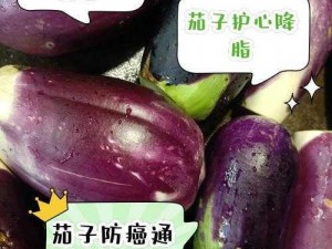 茄子和玉米哪个更疼【探讨茄子和玉米哪个更疼：从生物学角度分析其差异及原因】