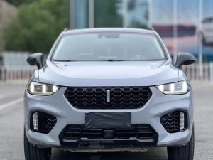 为什么 WEYVV5 国产的 SUV 视频如此受欢迎？