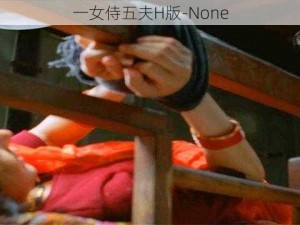 一女侍五夫H版-None