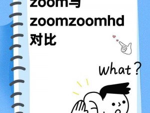 ZOOM 与 ZOOMHD 性能大揭秘