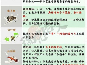 《地球防卫军决战昆虫菜单：中译引发热议，你了解这些词汇的含义吗？》