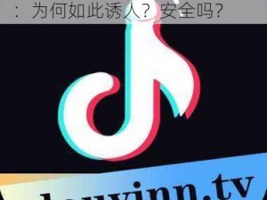 抖抈短视频 APP 免费破解下载：为何如此诱人？安全吗？