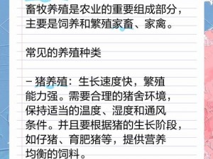 人马畜禽公司：如何解决养殖过程中的难题？