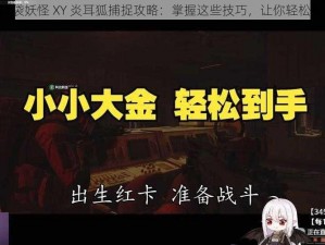 《口袋妖怪 XY 炎耳狐捕捉攻略：掌握这些技巧，让你轻松到手》