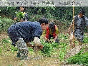 夫妻之间的 108 种插秧法，你真的会吗？