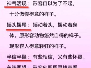 为什么骚狐会成为网络热词？如何正确理解骚狐的含义？骚狐在网络文化中代表什么？