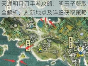 天涯明月刀手游攻略：明玉子获取全解析，刷新地点及详细获取策略