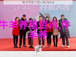 窑子开张了有小标;None