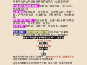 兽厂大佬产品策略解析：探讨其核心功能及其在实际应用中的作用与优势