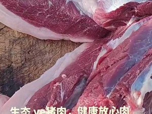 人马畜禽 CORPORATION 猪——源自天然牧场的高品质猪肉