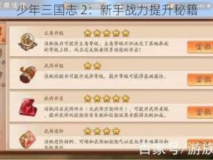 少年三国志 2：新手战力提升秘籍