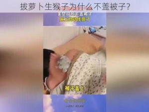 拔萝卜生猴子为什么不盖被子？