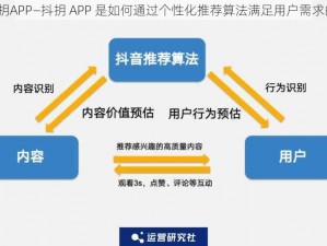 抖抈APP—抖抈 APP 是如何通过个性化推荐算法满足用户需求的？