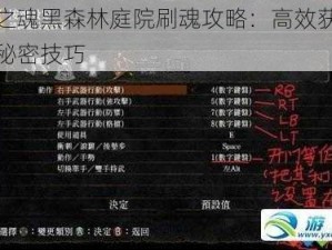 黑暗之魂黑森林庭院刷魂攻略：高效获取经验的秘密技巧