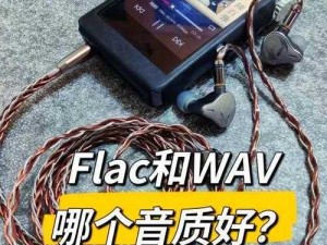 我来也我也去 wAV，一款功能强大的音频处理软件