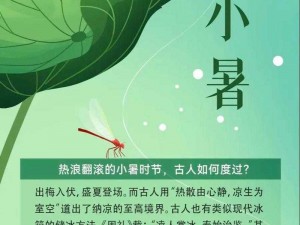 桃源深处人家欢庆小暑节气，独特习俗活动精彩纷呈介绍