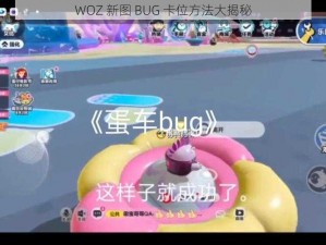 WOZ 新图 BUG 卡位方法大揭秘