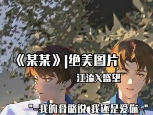 江添把盛望顶哭在哪几、江添把盛望顶哭在哪几章具体情节及感受分享