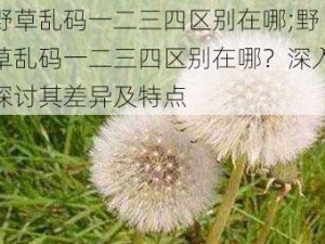 野草乱码一二三四区别在哪;野草乱码一二三四区别在哪？深入探讨其差异及特点