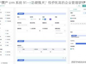 国产 crm 系统 91——功能强大，性价比高的企业管理软件