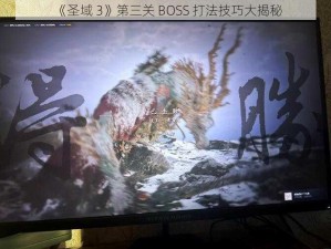 《圣域 3》第三关 BOSS 打法技巧大揭秘