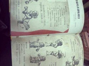 《揭秘失落记忆：手臂翻转方法探索》