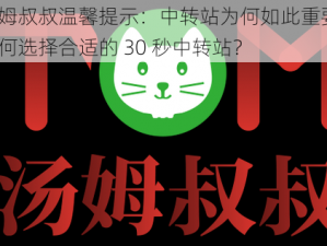 汤姆叔叔温馨提示：中转站为何如此重要？如何选择合适的 30 秒中转站？