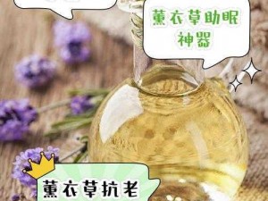 薰衣草研究所实验室入口处为何如此神秘？