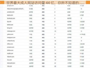 世界最大成人网站访问量 44 亿，你所不知道的……