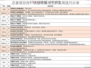 忍者萌剑传：快速收集符文的实用技巧分享