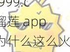 ll999.c 榴莲 app 为什么这么火？如何下载使用？