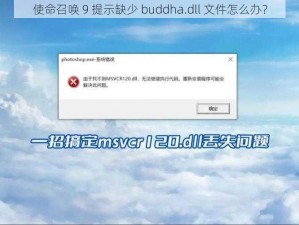使命召唤 9 提示缺少 buddha.dll 文件怎么办？