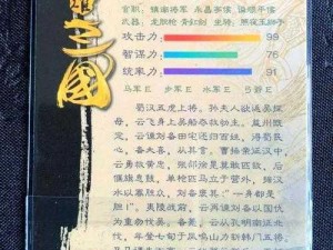 赵云不死的传奇揭秘：探究《三国演游戏中赵云顽强生存的奥秘》