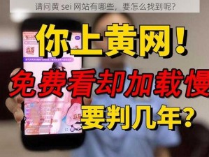 请问黄 sei 网站有哪些，要怎么找到呢？