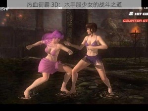 热血街霸 3D：水手服少女的战斗之道