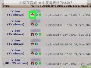如何在爱城 bt 中获得更好的体验？
