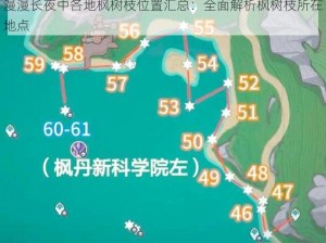 漫漫长夜中各地枫树枝位置汇总：全面解析枫树枝所在地点